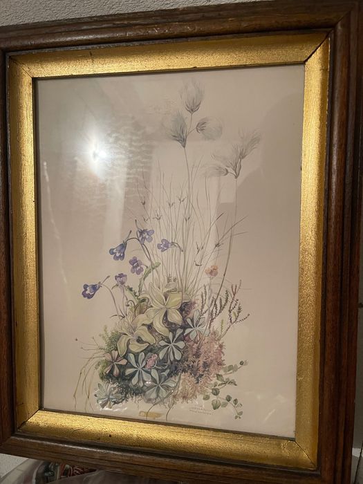 Картини Italy стил и автор / маслени бои