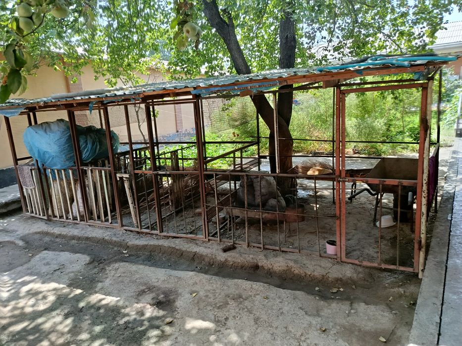 Куйхона сотилади куйхона сотилади куйхона сотилади куйхона сотилади Ку