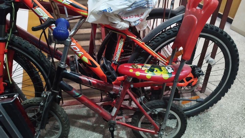 Role și bicicleta