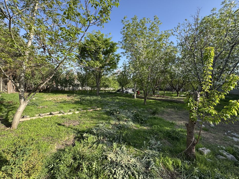 Nazarbek turkiston hovli yer sotiladi