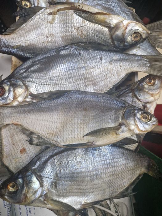 Продам Вяленную рыбку