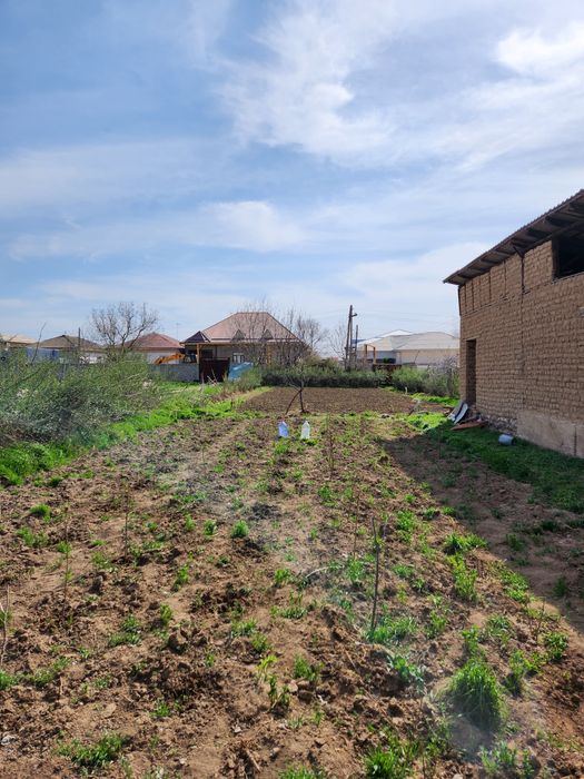 Продаётся участок в центре Янгибазара