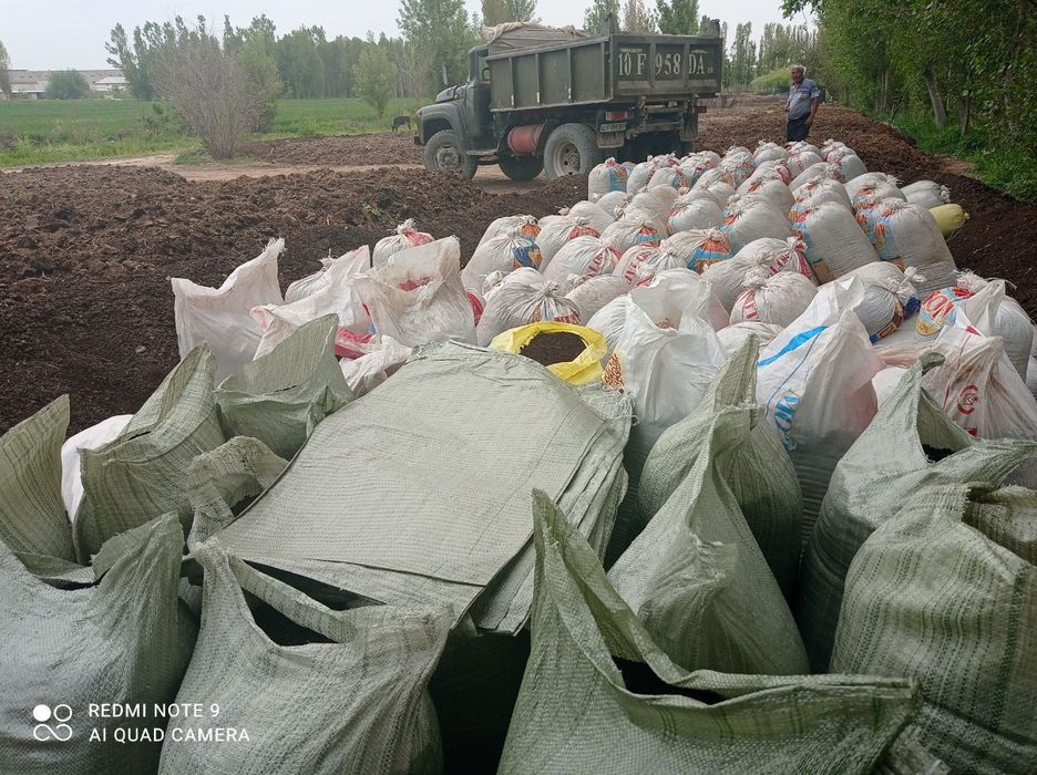 Biogomus Toshkent dastavka
