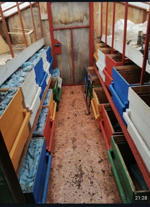 Пасека на 20 ульев