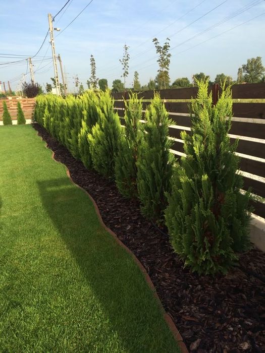 _Все услуги САДОВНИКА._ 1