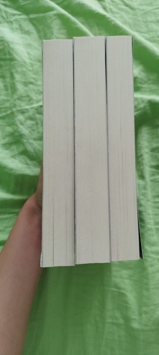 Shadow and bone trilogy by Leigh Bardugo