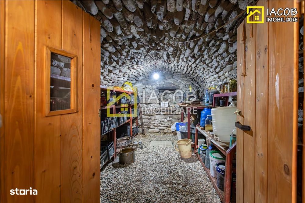 Casa, anexe, 3762 mp teren, 25000 mp padure, Comanesti, jud. Bacau