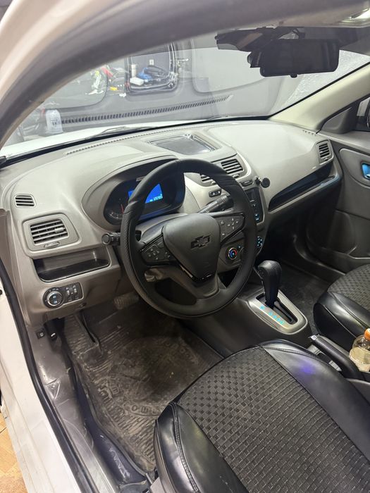 Malibu rul anatomiya