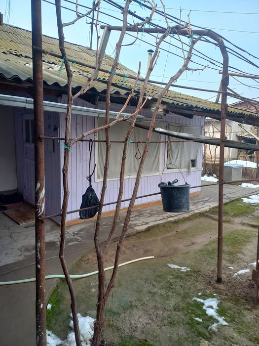 Продаётся дом Уй сотилади