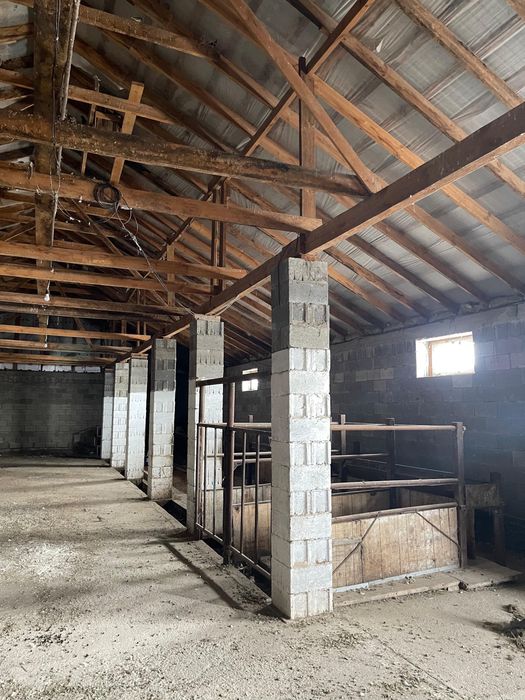 Продам дом и участок