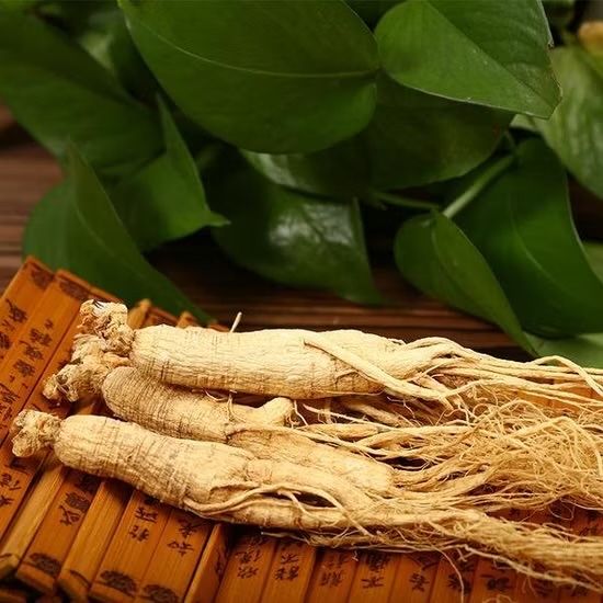 Ginseng(Китайский женьшень дикий)