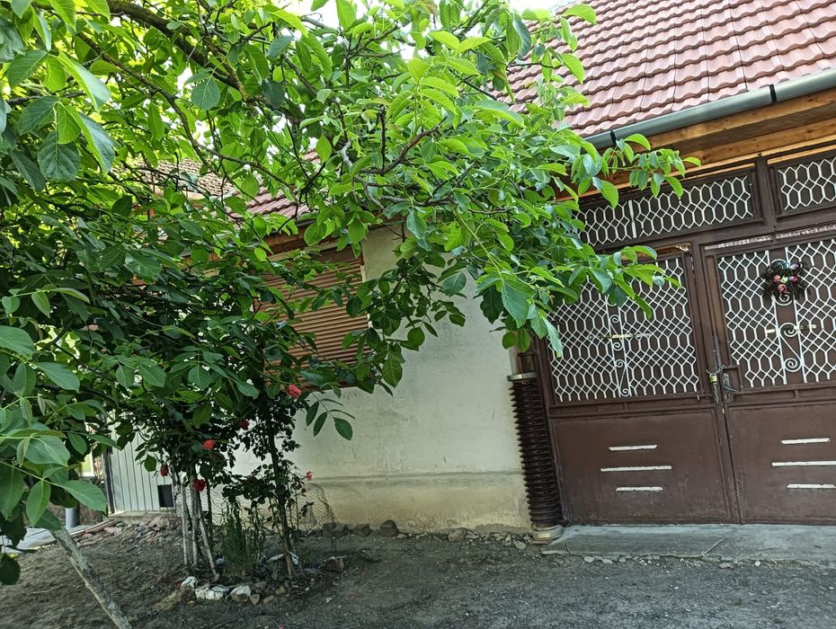 Casă de vânzare în localitatea Berindia comuna Buteni Jud.Arad.