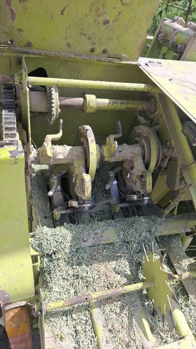 Прис падборчик КЛАСС 55 карески сотилади радной краскада.