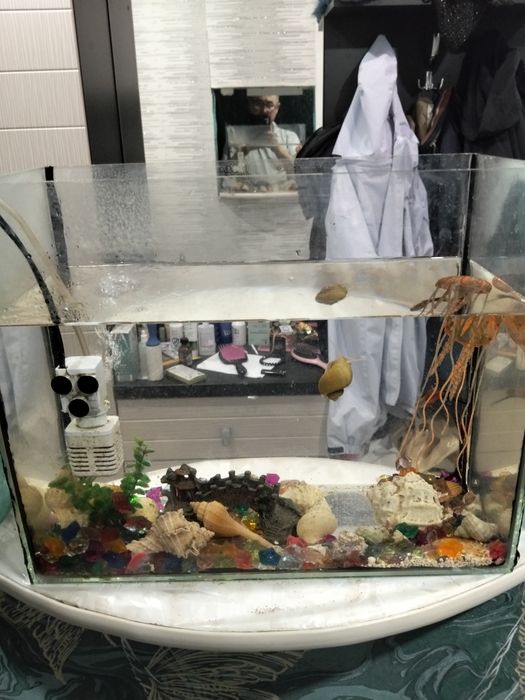 Продам аквариум на 18 литров