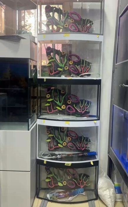 50L dekarativni akvarium