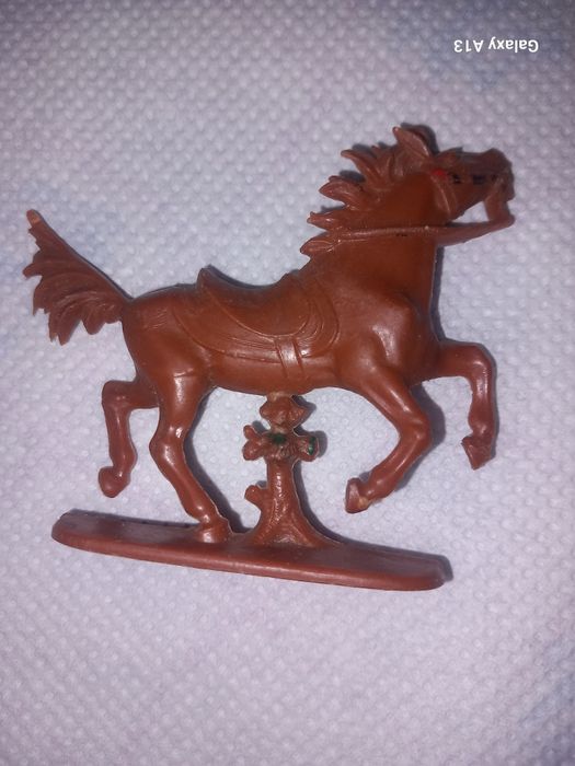 Indian și 2 cai din W germany