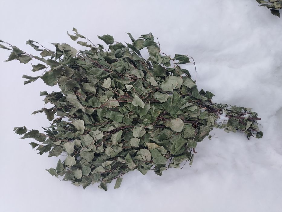 Продам банные веники