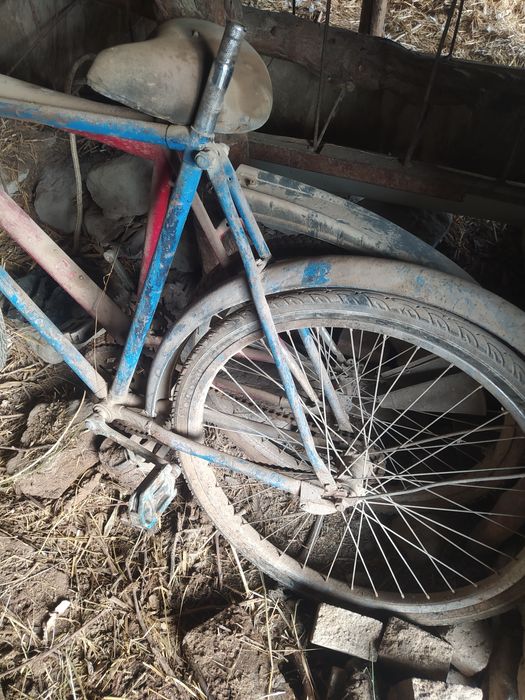 26velasped ekoviyam narmanle holatta