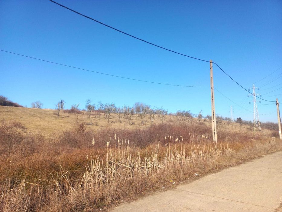 Teren de vânzare  Păltiniș