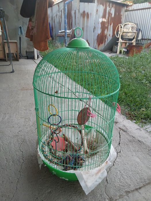 Клетка для папугая