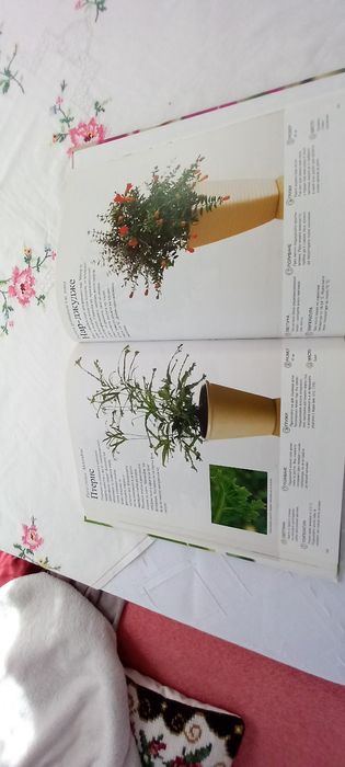 Стайни растения-книга
