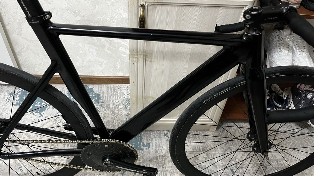 INTRO7 FS-02 carbon fork double butted
