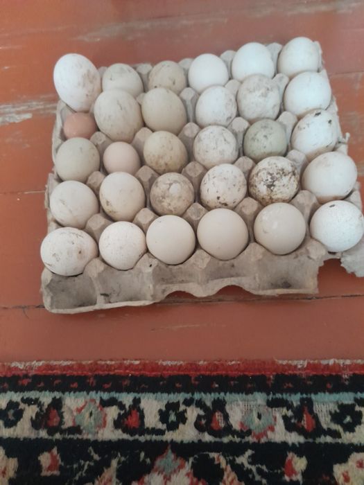 Яйца утки продаются