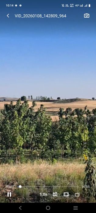 Дача Паркат Тумани Дослик 6 сотик земля