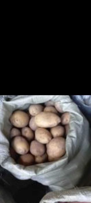 Продается домашний картофель.
