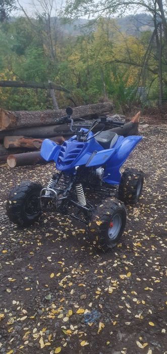 Vând/schimb atv bashan