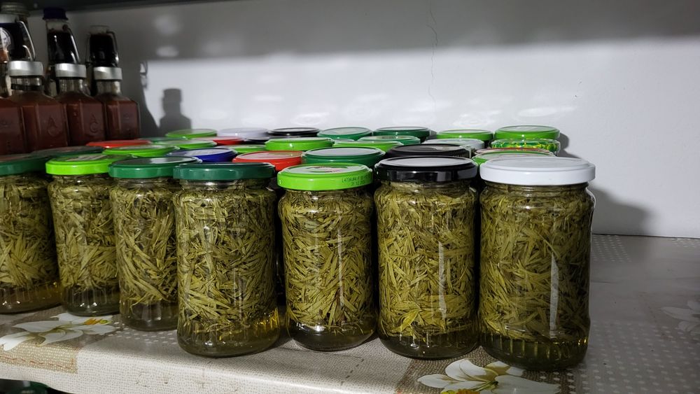 Vand tarhon în oțet