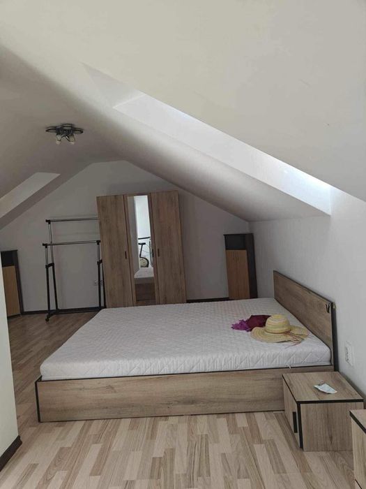 Colega de apartament