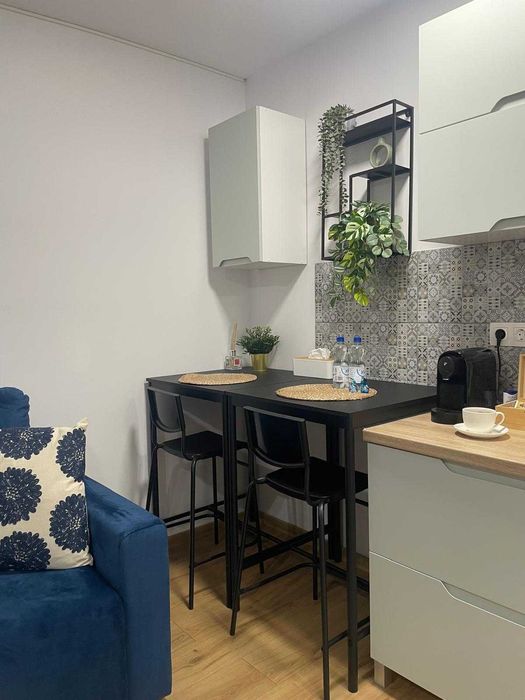 Apartament cu 1 camera nedecomandat (complet renovat) Inchiriere