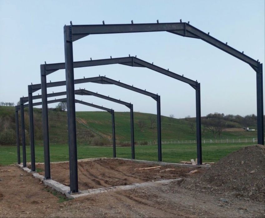 Vand hale metalice structurii metalice