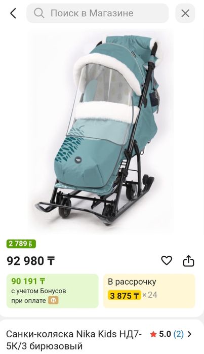 Санки-коляски зимние