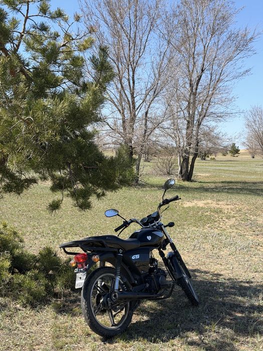 Racer 110GS, racer alpha