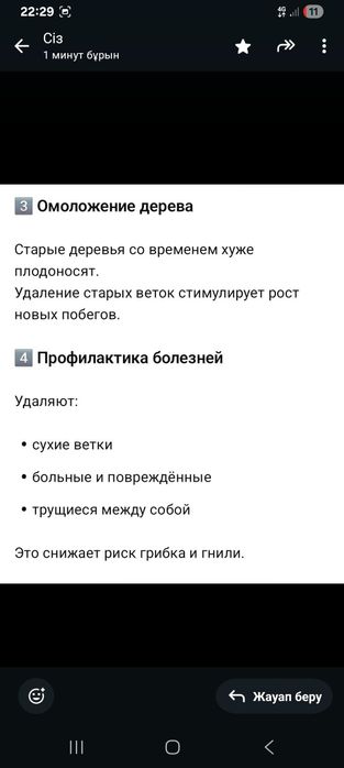 Обезка плодовых деревьев.