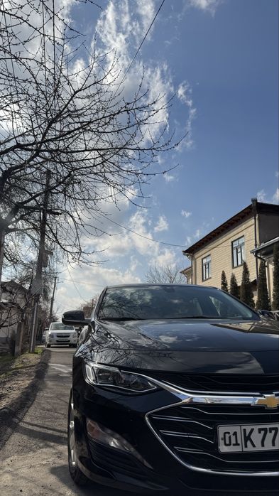 Malibu Premer  2 li srochna sotiladi