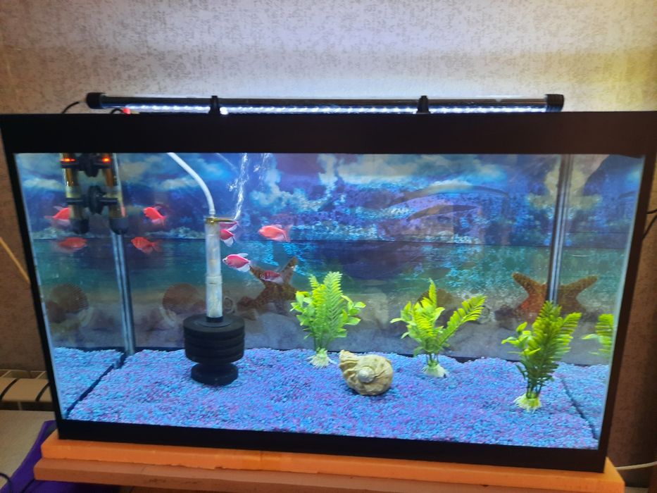 Продам  аквариум