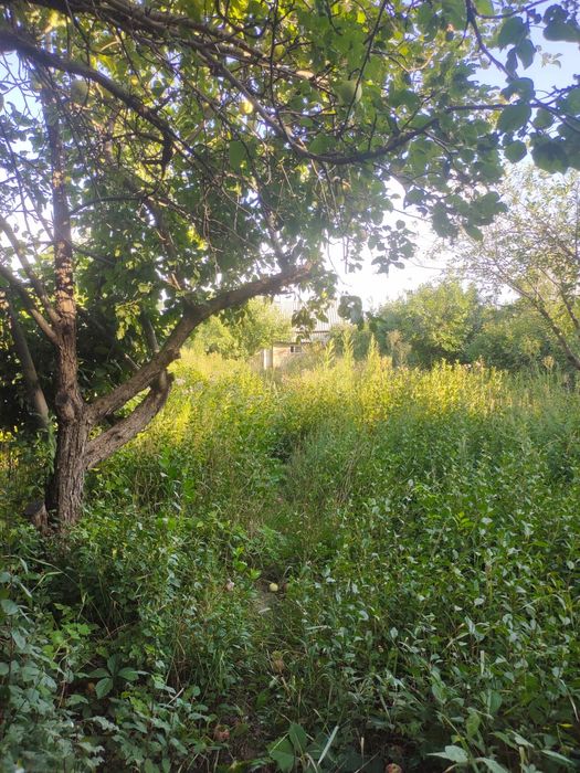 Сдам дачу с последующим выкупом