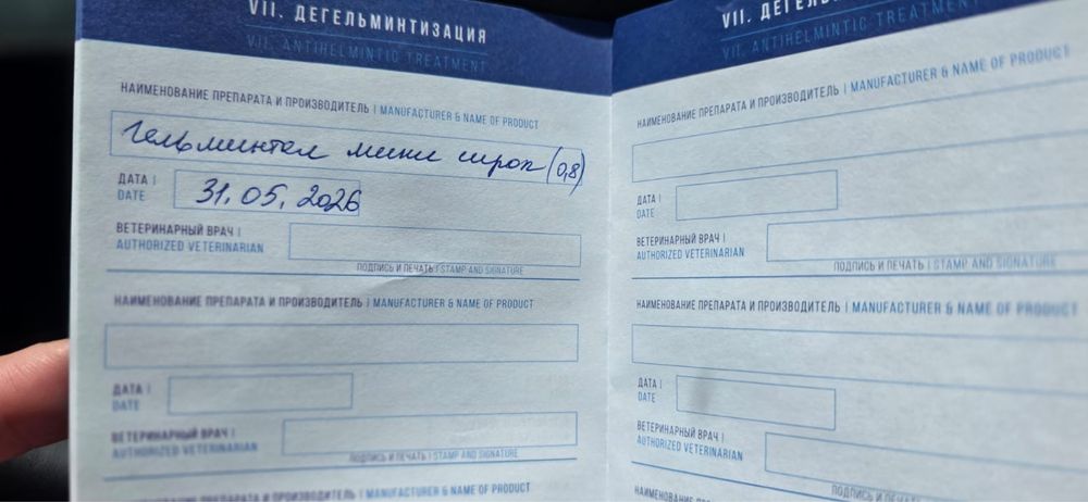 продаётся щенок