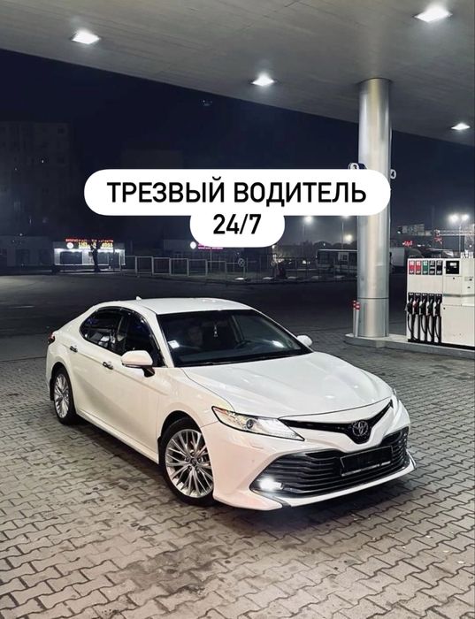 Трезвый водитель