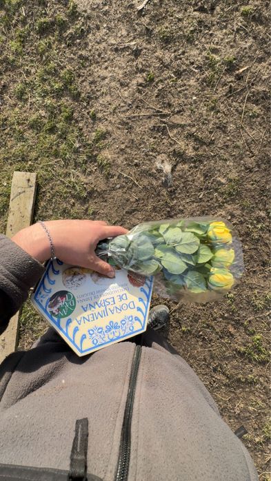 Vand husa  foarte buna