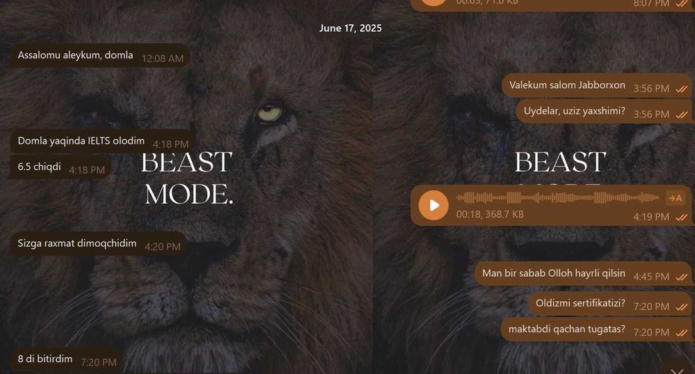 IELTS & General English Online | Natijaga yo‘naltirilgan kurs