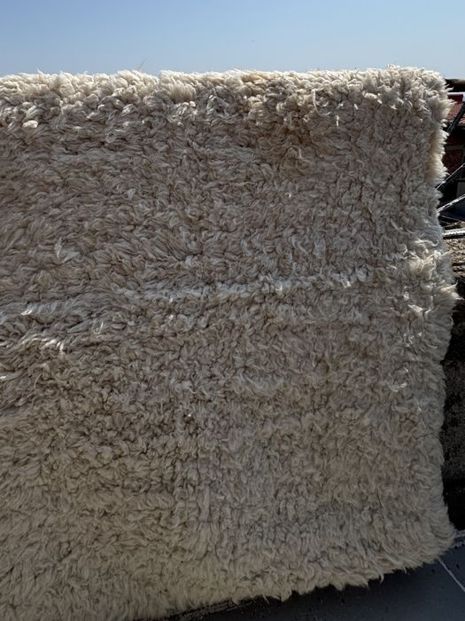 Родопски Китеник