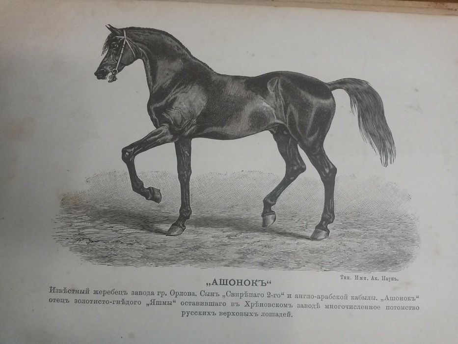 Много рядка книга Царска Русия''КНИГА ЗА КОНЕТЕ''Граф Врангел