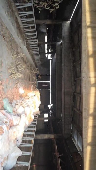 Сотувга чорва учун ферма