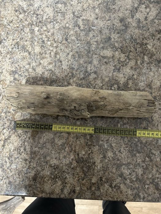Diferite bucati de lemn decorativ pentru acvariu
