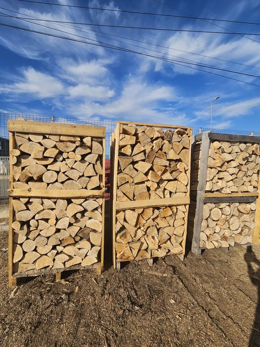 Depozit Lemn Foc Fag