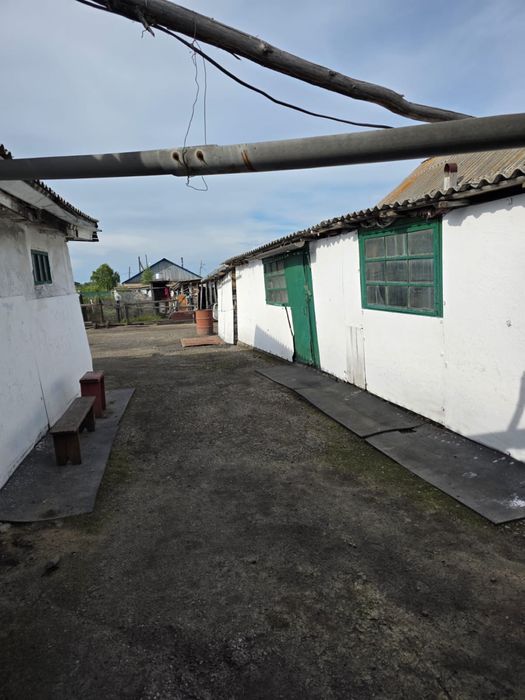 Продам дом в селе Асаново